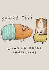 Guinea Pigs Wearing Baggy Pantaloons created by Sophie Corrigan