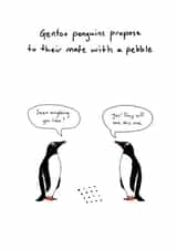 Engagement Card created by Random Animal Facts