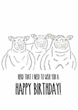 Sheep Herd Birthday Card 1000 created by Freja Norse Illustrations