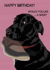 Birthday Gift from Dog created by Perkins & Morley