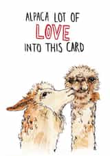 Cute Alpaca Pun Anniversary Card / Valentines Day Card - Alpaca Lot Of Love Into This Card created by Bramble Designs