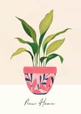 New Home Houseplant card created by Forest & Fig