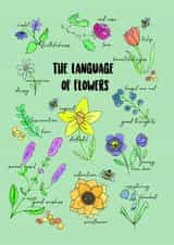 The Language of Flowers just because card created by My Holly House