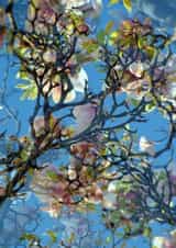 Japanese Blossom created by Michelle Louise