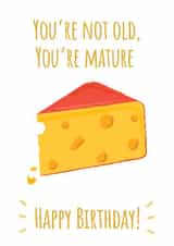 You're not old, you're mature - Birthday Card created by @Laura Lonsdale Designs