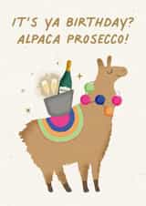 It's Ya Birthday? Alpaca Prosecco! created by Studio Mads