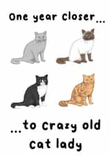 Crazy cat lady birthday card created by The Galactic Panda