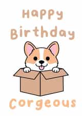 Corgi Birthday Card created by The Galactic Panda