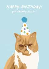 Grump Cat Birthday Card created by Amy V Packham Art