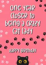 Happy Birthday Crazy Cat Lady created by Chubby Sparrow