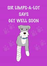 Miniature schnauzer get well soon card created by Schnauzer Scribbles