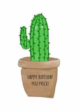 Happy birthday you prick created by Cheeky Cards by Ginger