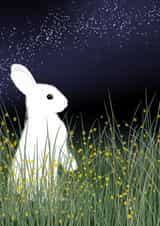 Just because Rabbit scenery card created by JeJu Studio