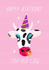 Old Cow Birthday Card created by Daisy Emillo