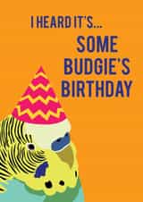 Cute Budgie Birthday Card created by Dusty Rose Lees