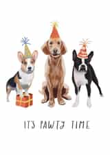 It’s Pawty Time created by Beth Wake