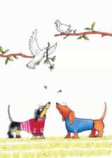 Two Dachshunds and Turtle Doves love card created by Nick Budd
