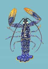 Lobster wishes created by Rachel Croker