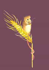 Field Mousey created by Rachel Croker