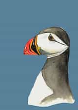 Puffin created by Rachel Croker