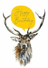 Beautiful Birthday Stag created by Georgina Moir