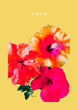 Nana created by The Twi Company