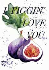 "I Figgin' Love You" romantic Anniversary card created by studio frewb