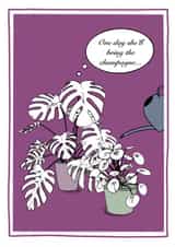 Even houseplants need champagne... created by Philippa Gumley