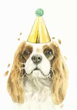 Cavalier King Charles Spaniel Birthday Card created by Robert James Hull