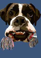 I brought you present created by Nelly Noos