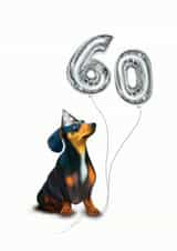Dachshund 60th birthday card created by Hot Dog greetings