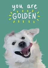 You are golden - goofy golden retriever card created by Amy  Jane