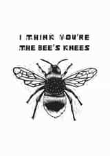 BEE'S KNEES! ALL OCCASION CARD created by hazelletters