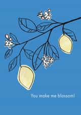 Gratitude plant card created by Milklegs Co.