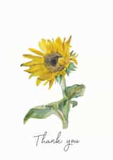 Sunflower thank you card  created by Katie May Designs