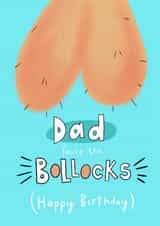 Birthday bollocks dad card created by Lucy and Lolly