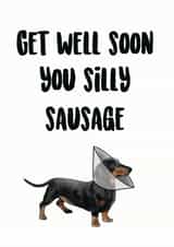 Get well soon you silly sausage Dachshund card - funny get well soon card created by SVHIllustration