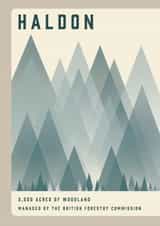 Haldon Forest created by Jennifer Zangeneh