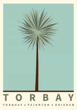 Torbay Palm 1000 created by Jennifer Zangeneh