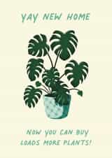 Trendy Cheese Plant New Home Card - Yay New Home Now You Can Buy Loads More Plants created by Amy V Packham Art