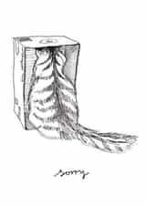 Cat in a Box Sorry Card created by @hobbbins