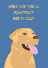 Birthday card for a dog lover. Particularly those fond of a Golden Labrador. created by Rae of Sunshine