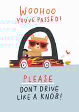 Don't drive like a knob created by Jess Moorhouse