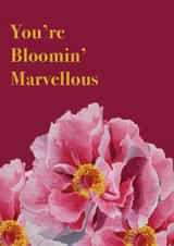 You're Boomin' Marvellous Card created by Creative Rutt