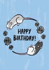 Happy Birthday rat card created by Kate Wand