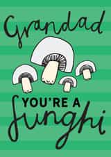 Grandad Fun Guy card created by Dottypink Designs
