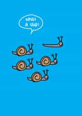 what a slug! funny birthday card created by Lucy Likes It