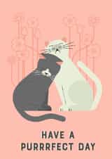 Have a perfect day cat card created by @simonwelchillustration