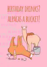 Alpaca prosecco birthday card created by Dani Verbeeten