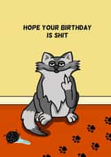 Shit Cat Birthday Card created by Cheeky Boar